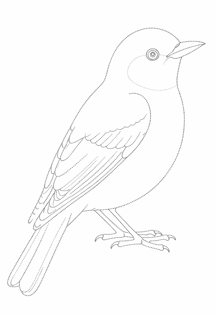 Bird Drawing for Colouring