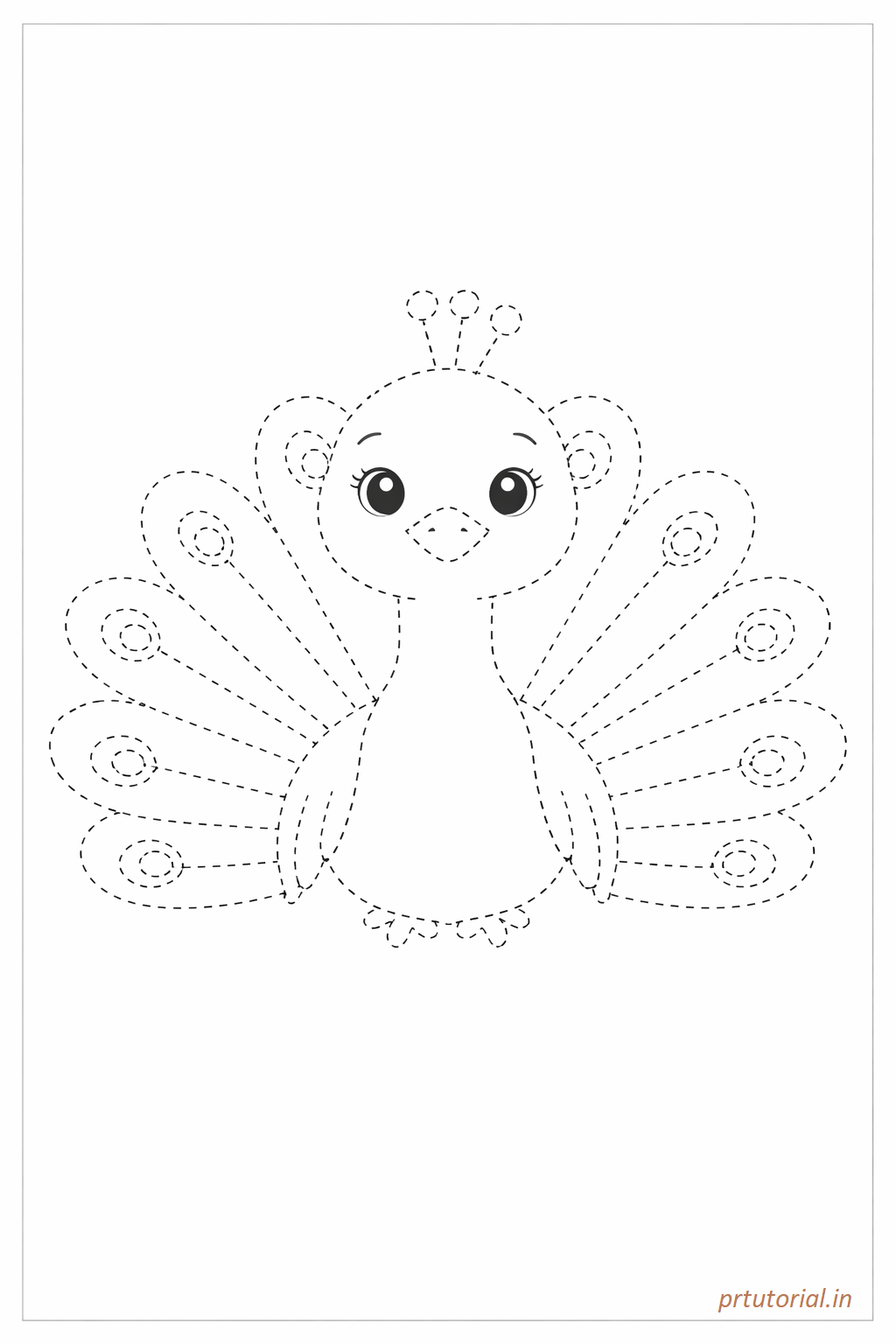 Peacock Drawing for Kids
