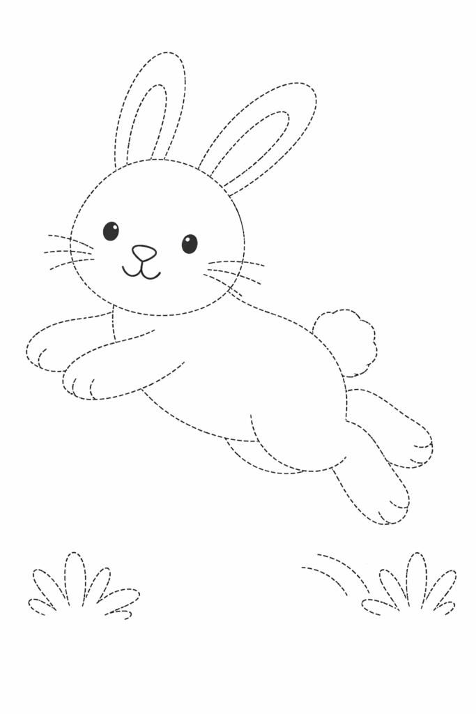 Jumping Rabbit  drawing